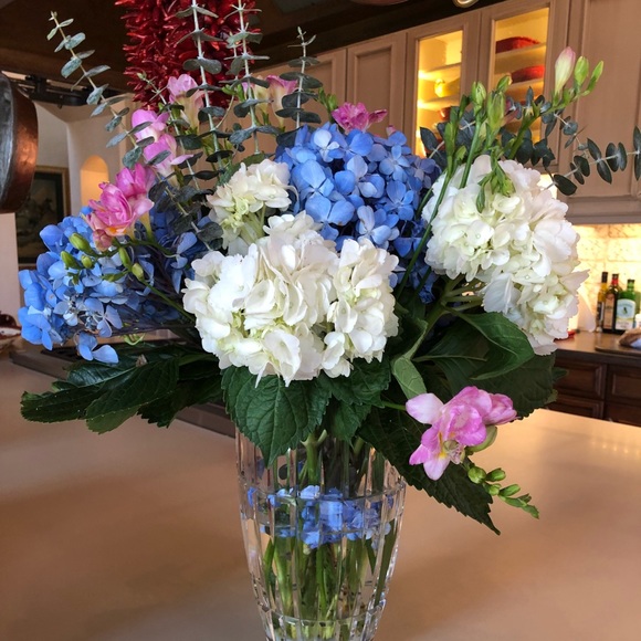 Meet your Posher, Jane - Picture 1 of 1